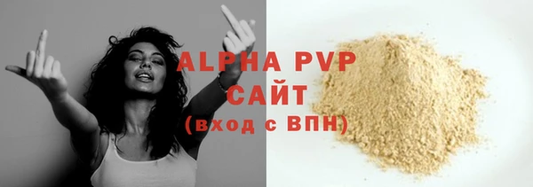 винт Осташков