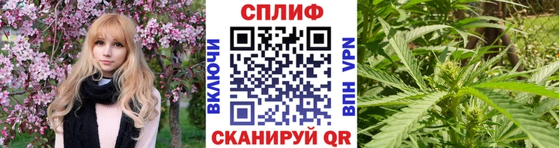 Конопля конопля наркошоп площадка клад Бавлы